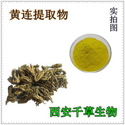 洋蔥純浸膏 廠家專業(yè)生產(chǎn)天然動(dòng)植物提取物定做濃縮流浸膏 西安 植物提取物