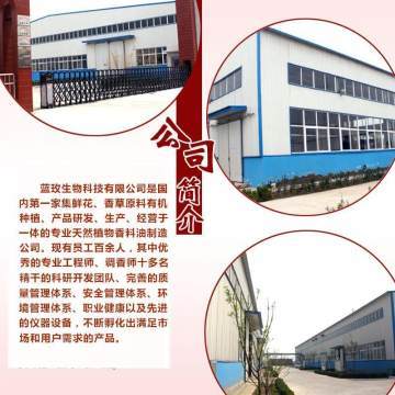 天竺葵純露 深層凈化肌膚，煥活水潤光彩——藍玫丫廠家直銷美容院裝專業解析